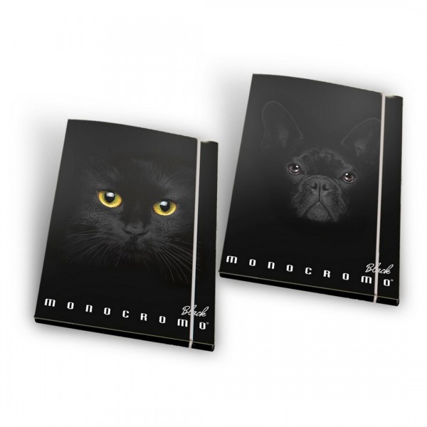 Mape ar gumiju Pigna Monocromo Black A4 formāts, asorti