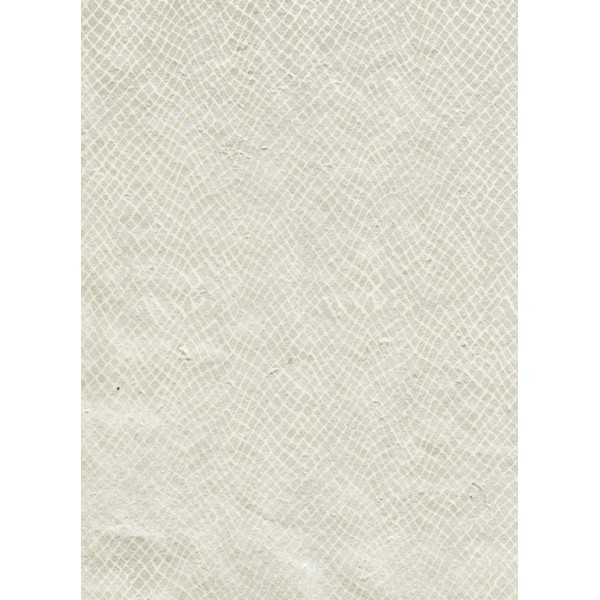 Nepālas papīrs  A4 ar sudraba krāsas  čūskas rakstu