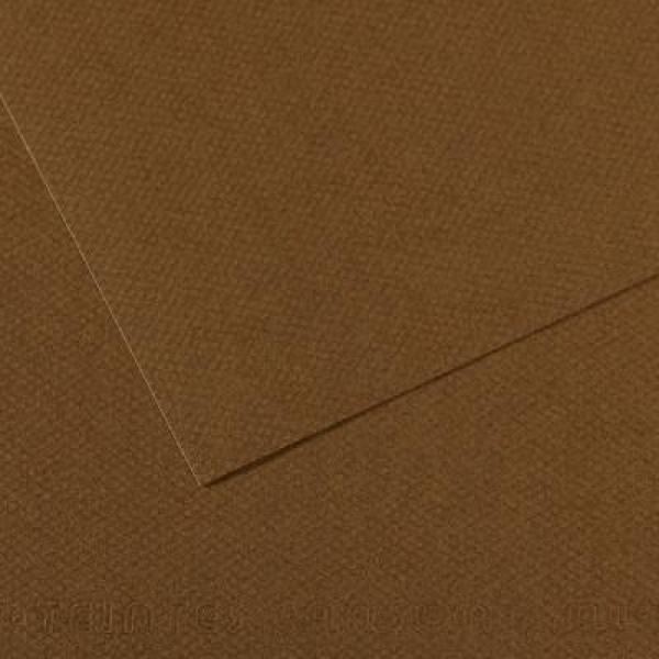 Pasteļpapīrs MT Canson, 501 tobacco 